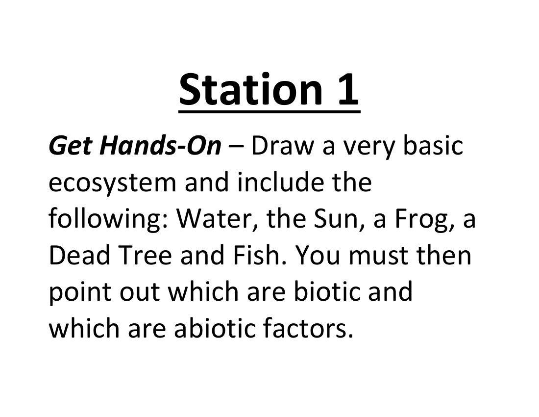 Ecosystems - Lab Station Cards