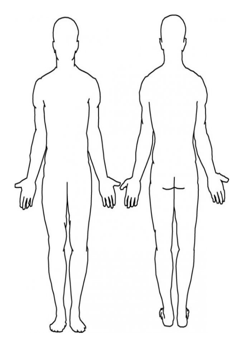 human outline front and back