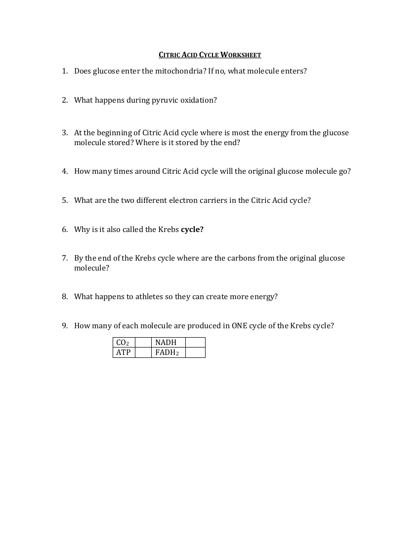 Krebs Cycle - Worksheet