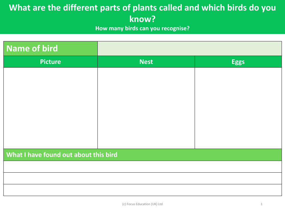 Bird - Fact File 2 - Year 1