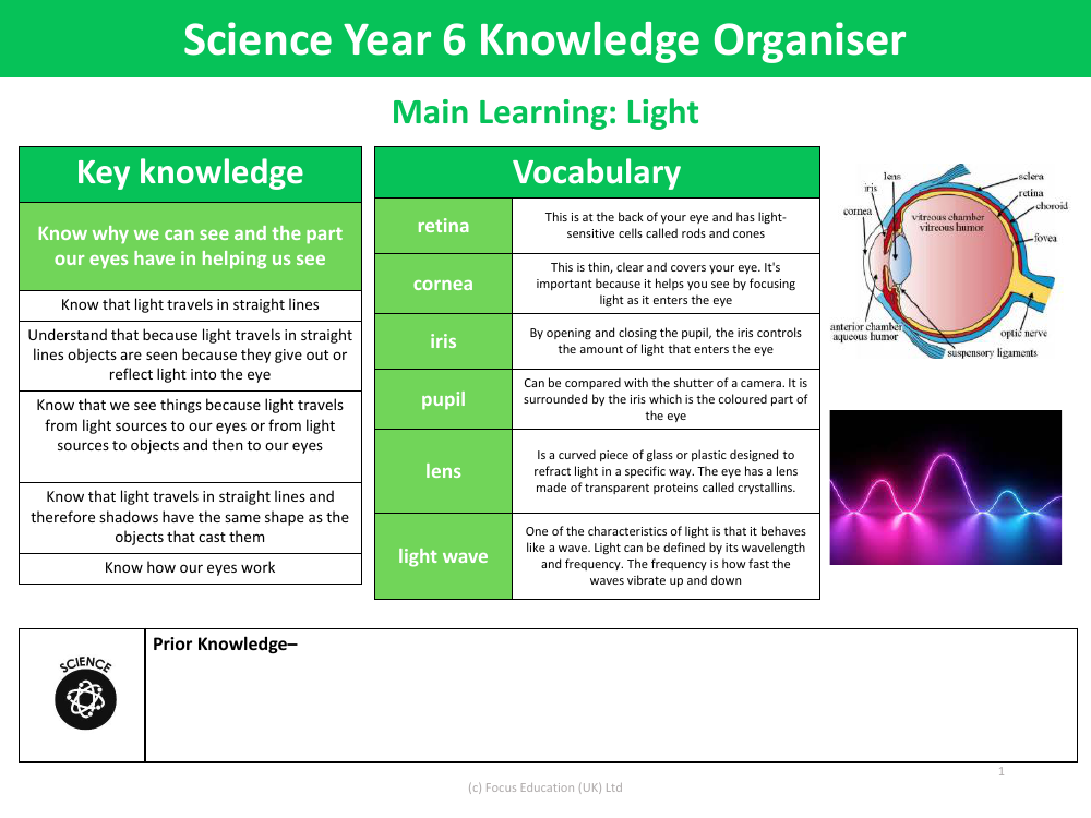 Knowledge organiser - Light - Year 6