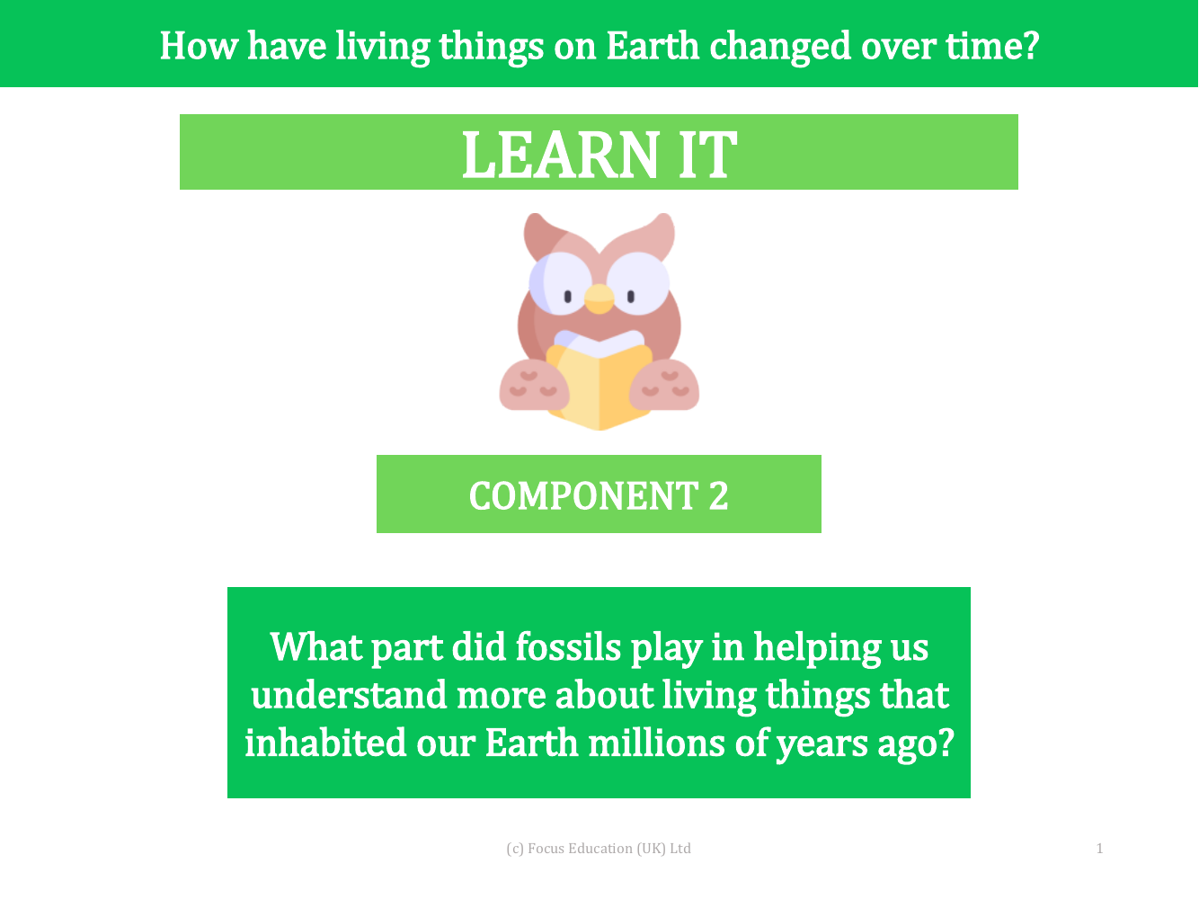 What part did fossils play in helping us understand more about living things that inhabited our Earth millions of years ago? - presentation