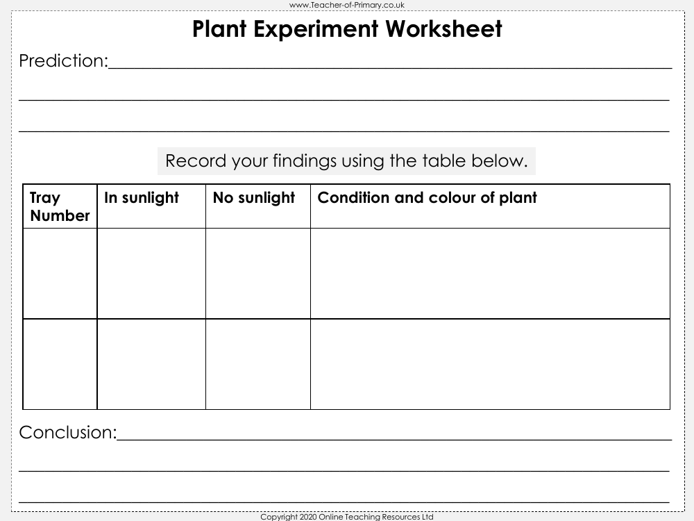 Plant Requirements - Worksheet