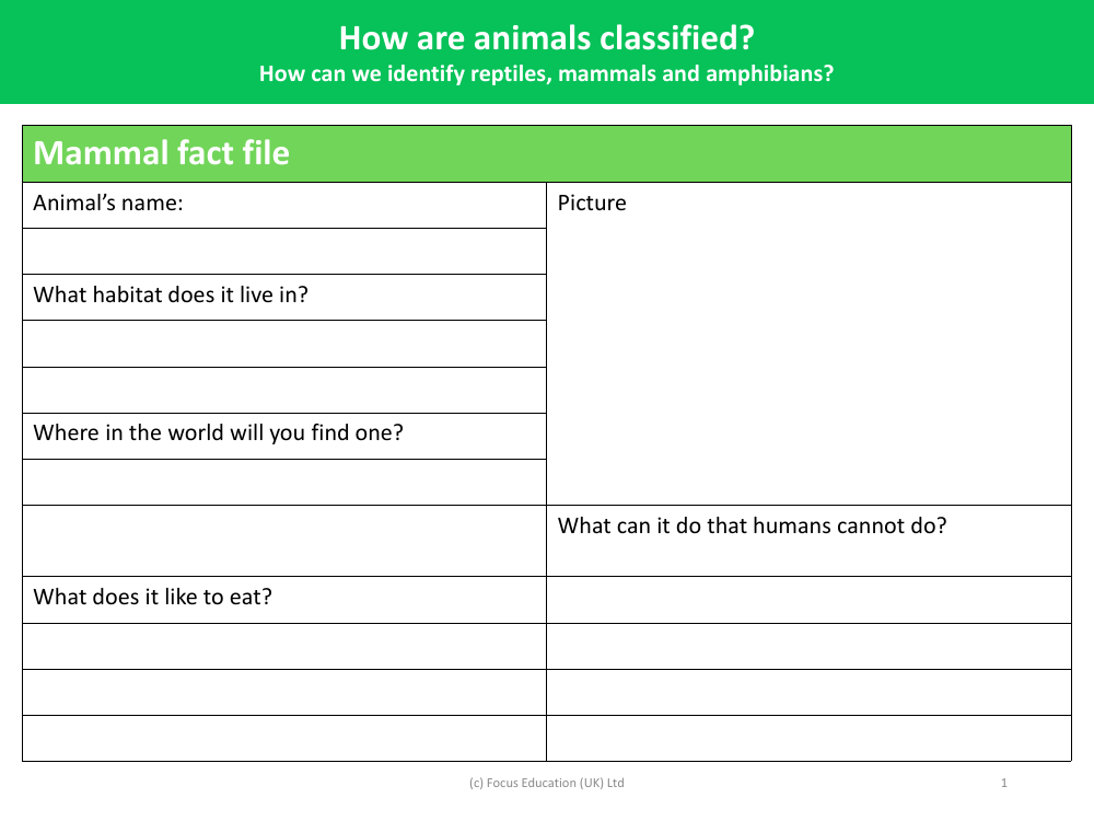 Mammal fact file