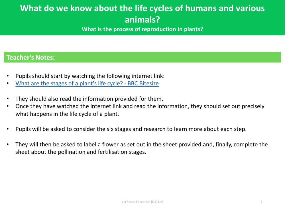 What is the process of reproduction in plants? - Teacher's Notes