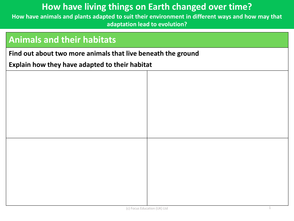 Things Animals Need (Graphic Organizer)