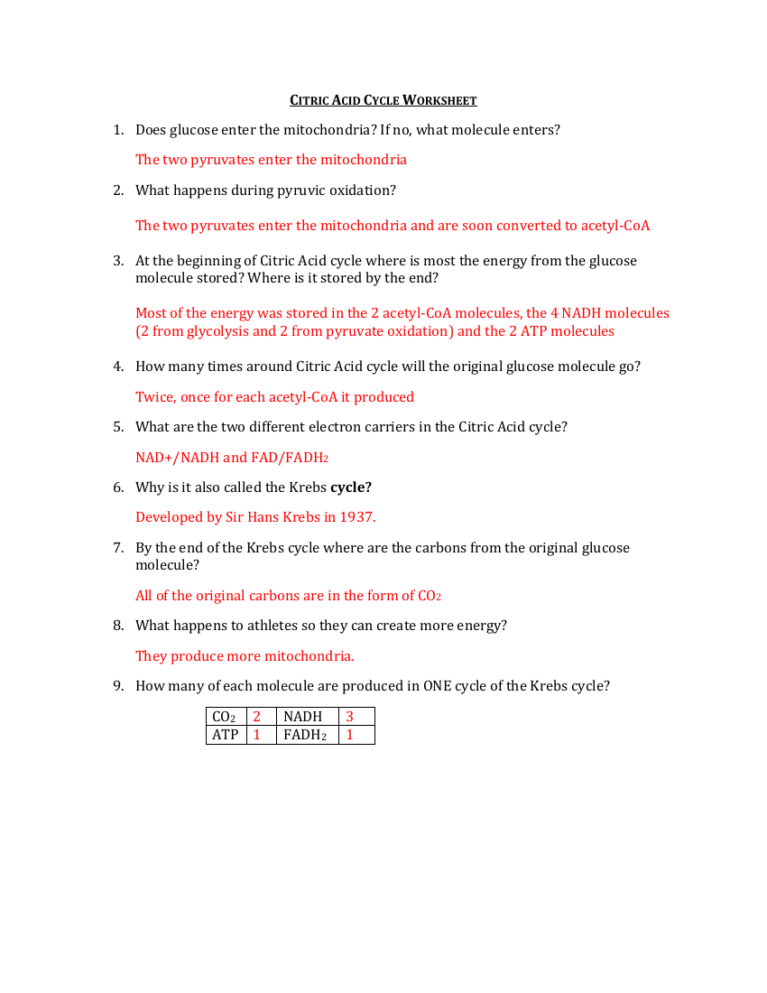 Krebs Cycle - Worksheet with Answers