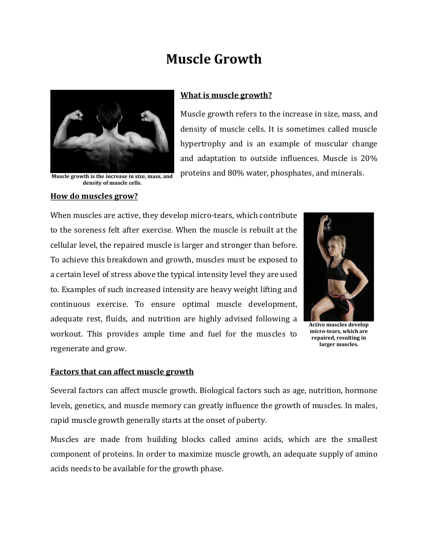 Muscle Growth - Reading with Comprehension Questions 2