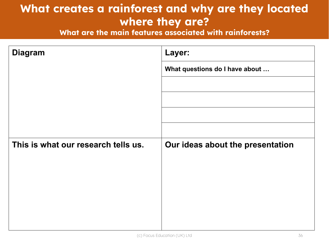 Layers of the rainforest - Write up