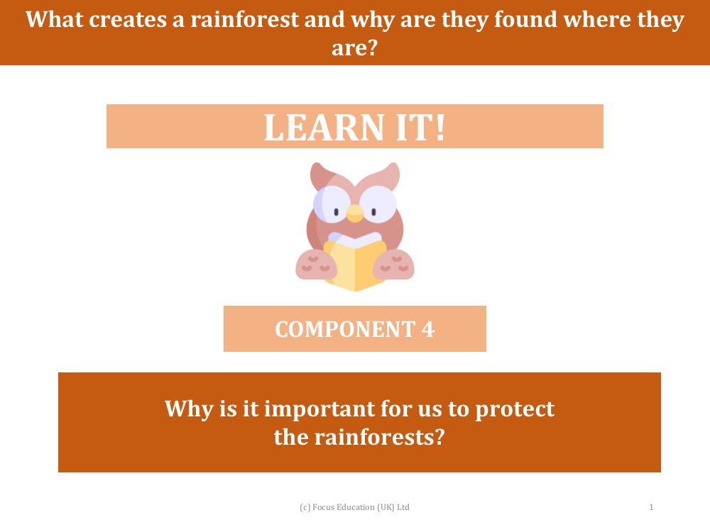 Why is it important for us to protect the rainforests? - Presentation