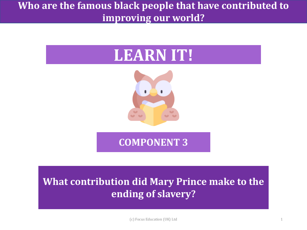 What contribution did Mary Prince make to the ending of slavery? - Presentation