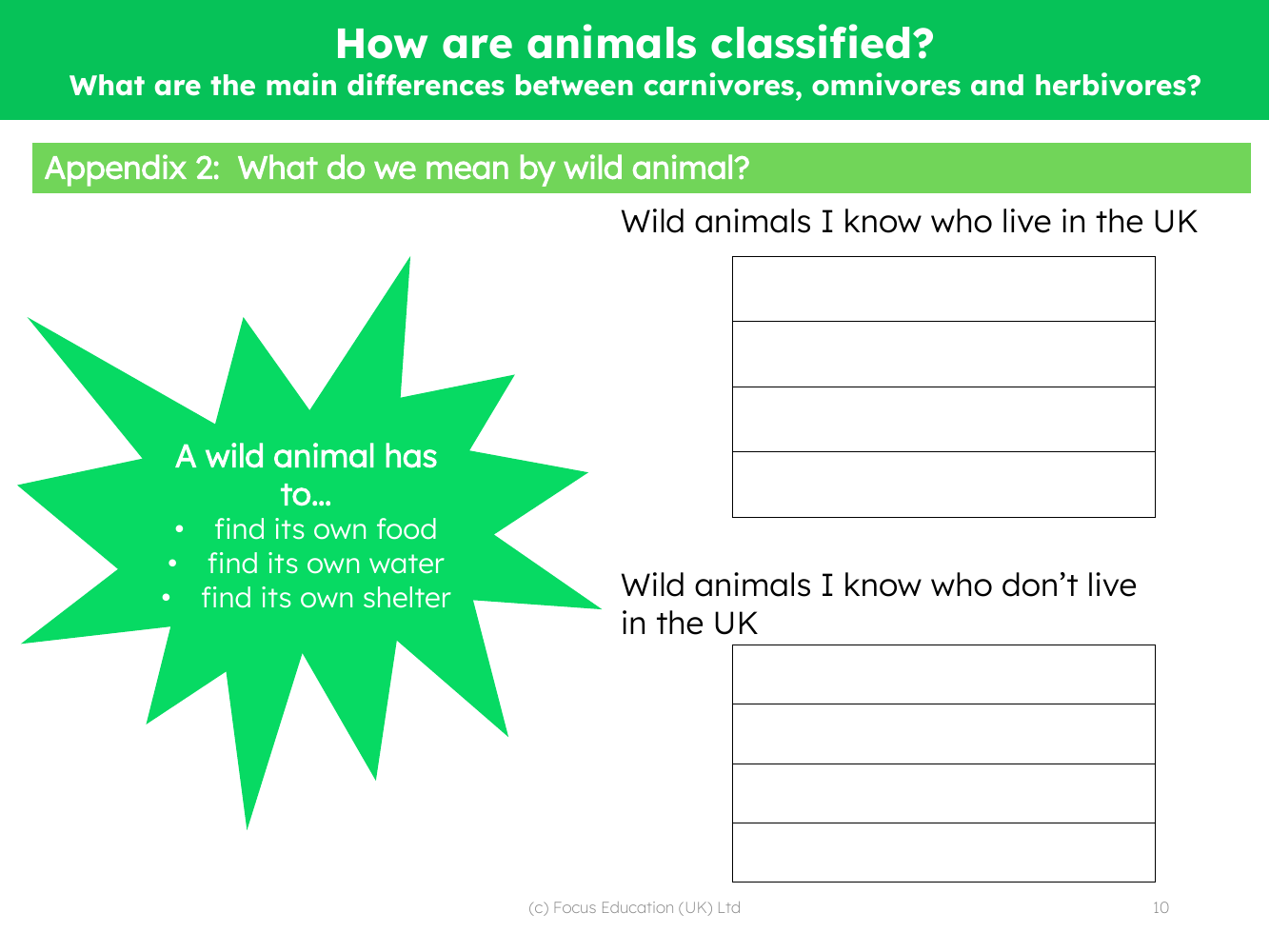 Wild Animals - Worksheet
