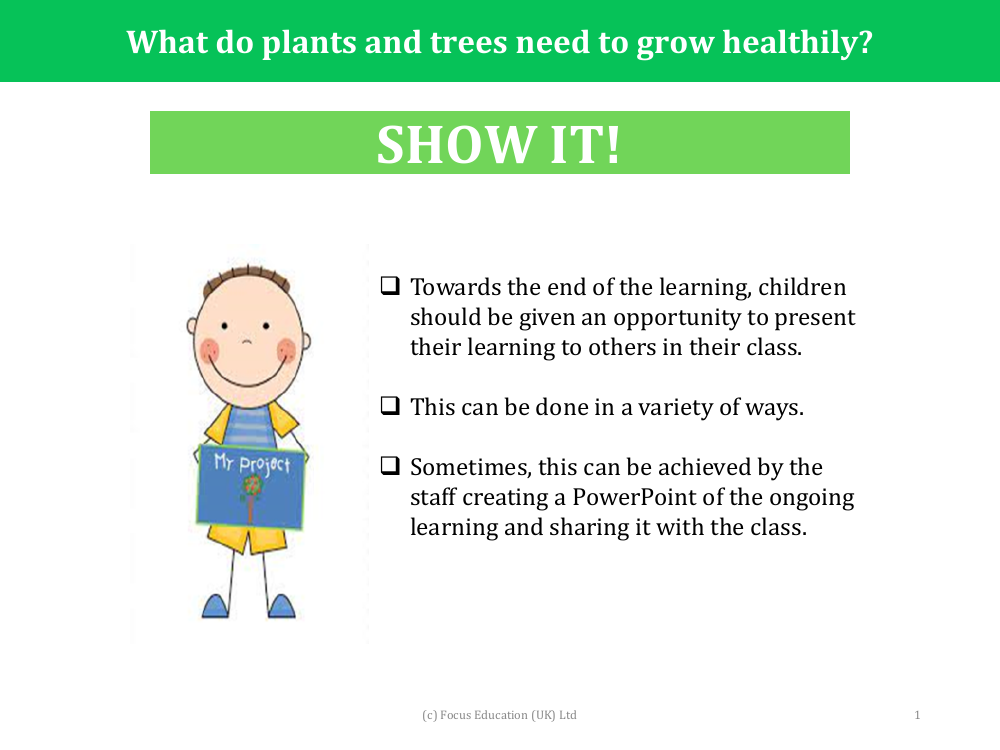 Show it! Group presentation - Plants - Year 2