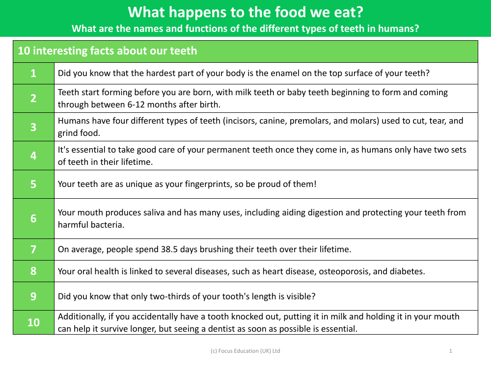 My ordering - 10 interesting facts about our teeth