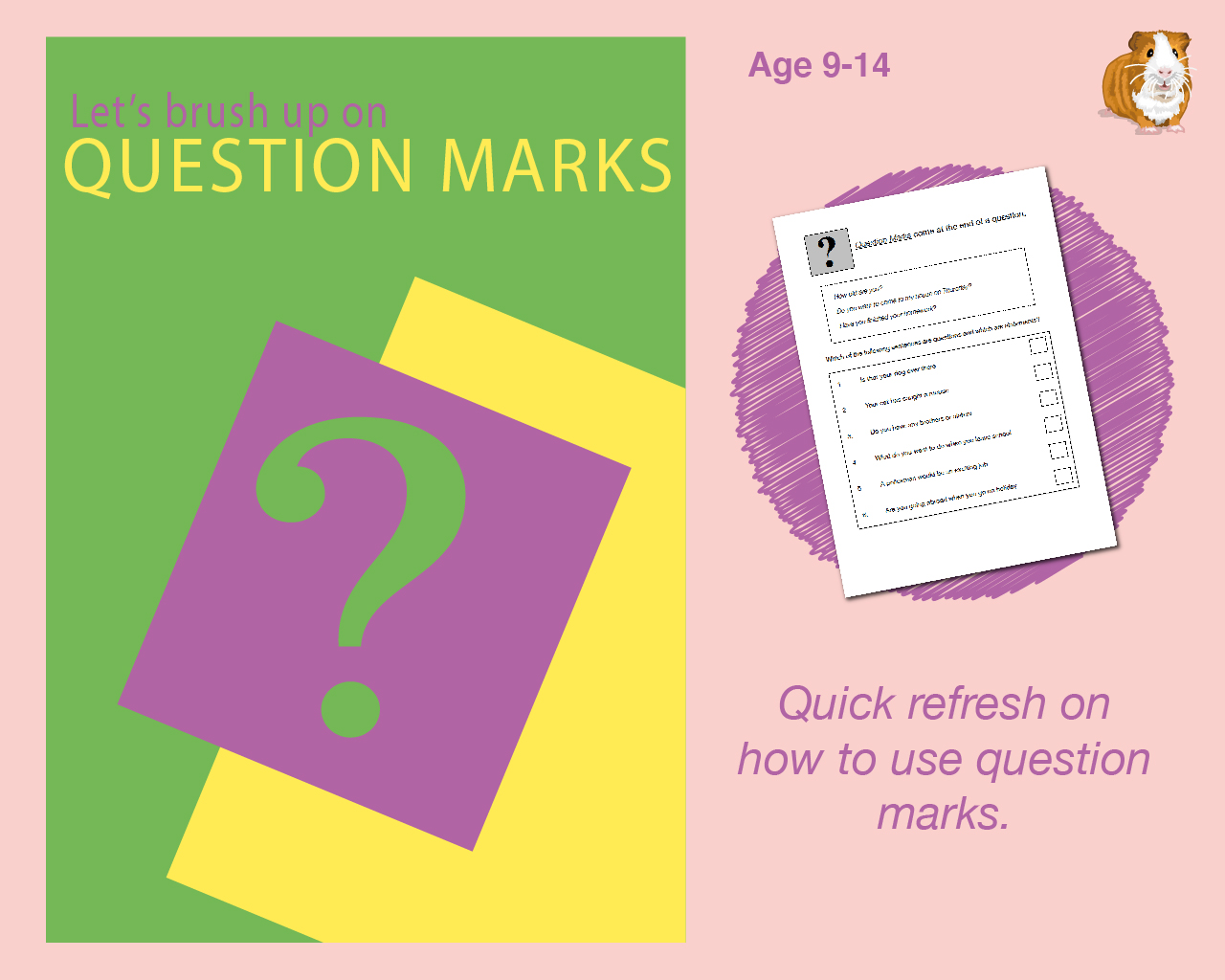 Brush Up On Using Question Marks (9-14 years) - Teacher Notes