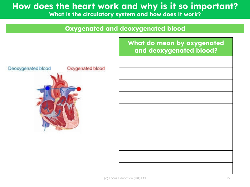Oxygenated and deoxygenated blood - Worksheet