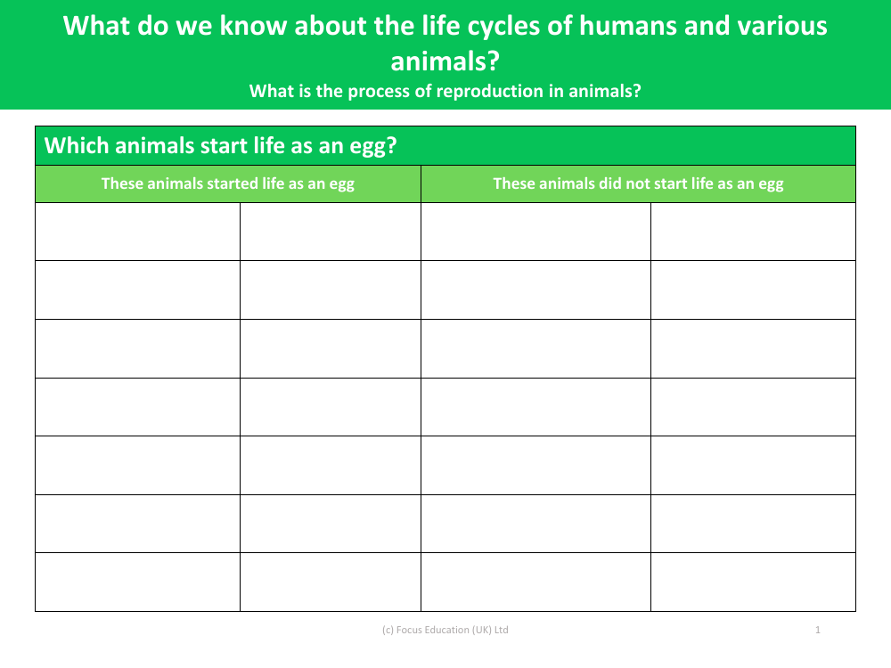 Which animals start life as an egg? - Worksheet - Year 5