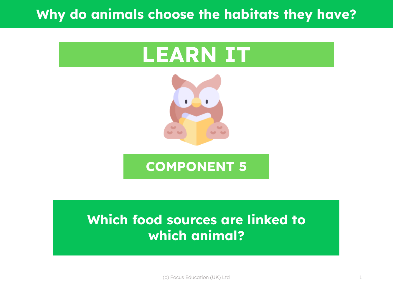 Which food sources are linked to which animal? - Presentation