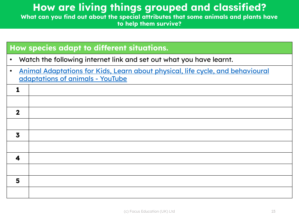 Animal adaptations - Note sheet