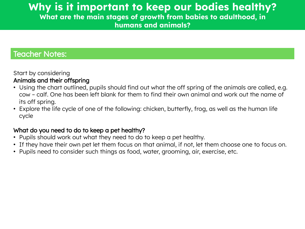 What are the main stages of growth from babies to adulthood, in humans and in animals? - Teacher notes