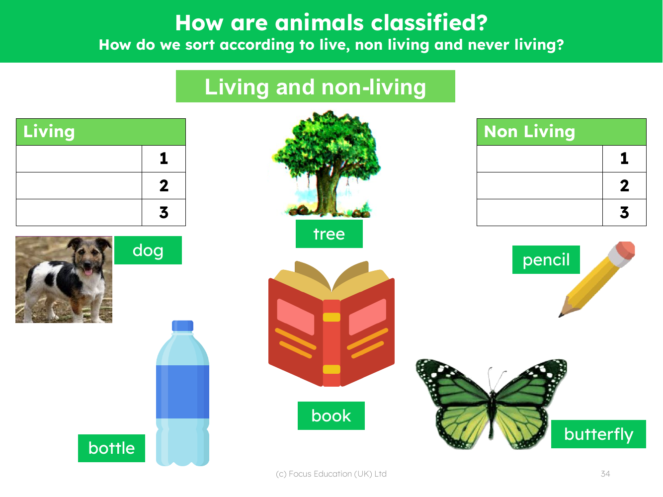Living and non-living - Worksheet