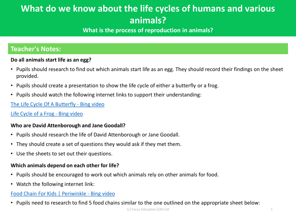 What is the process of reproduction in animals? - Teacher's Notes | Pango