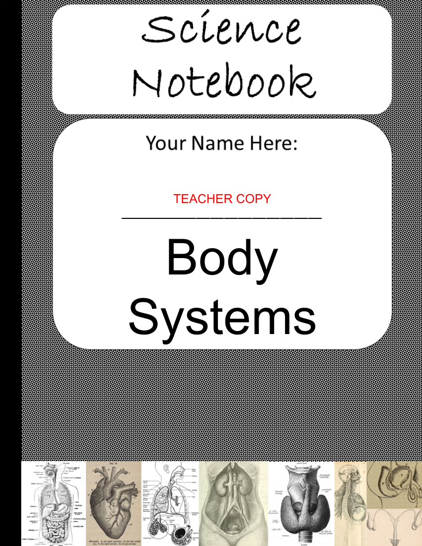 The Digestive System - Teacher's version of Student Digital Interactive Notebook