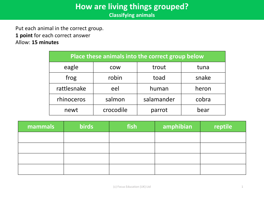 Place these animals in correct group below - Grouping Living Things - Year 4