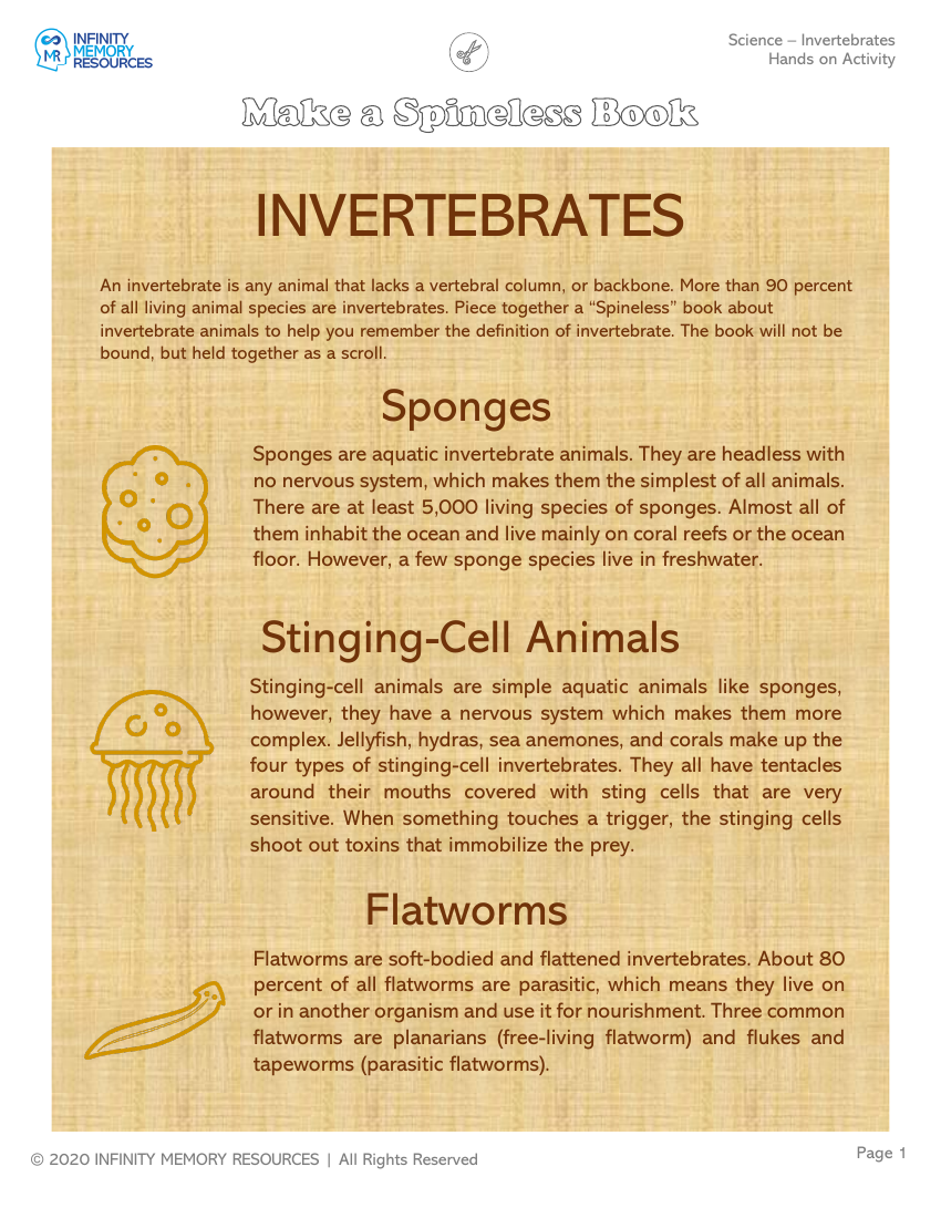 Invertebrates - Hands on Activity