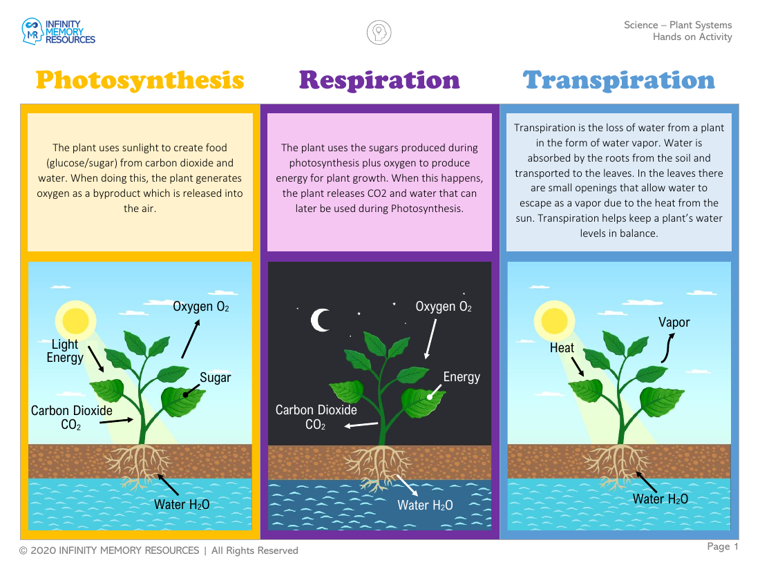 Plant Systems - Hands on Activity