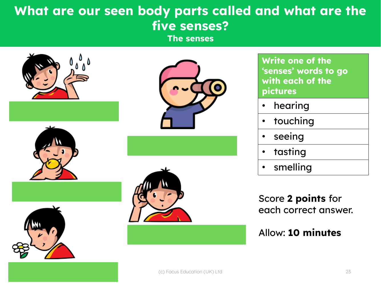 The Senses  - Assessment for learning activity