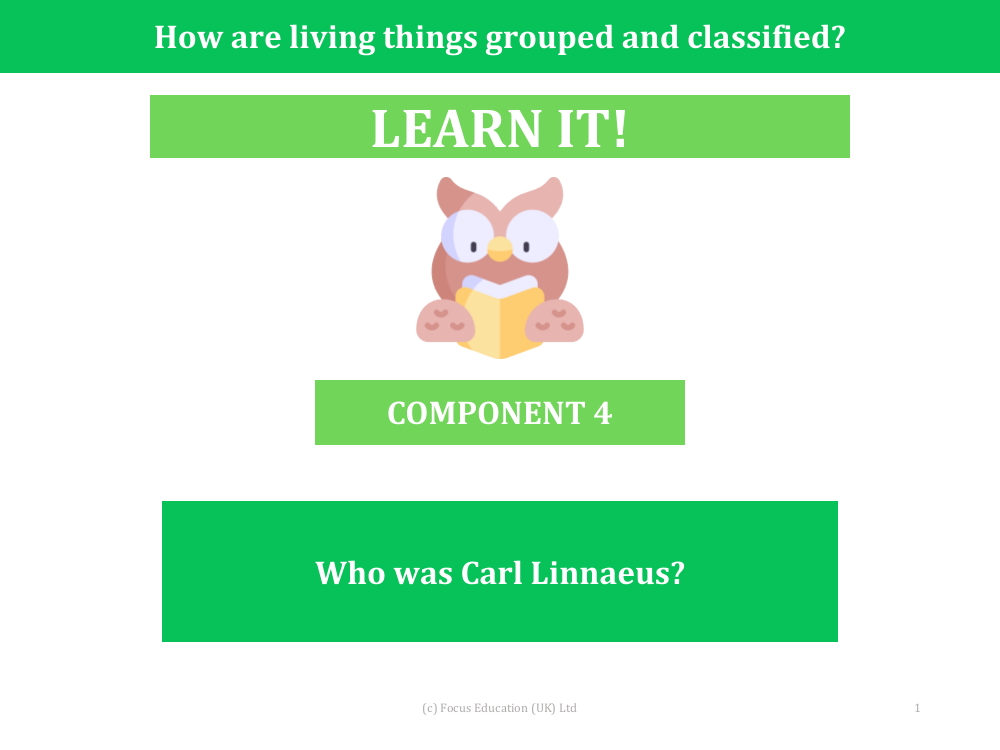 Who was Carl Linnaeus? - Presentation