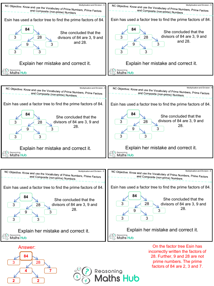 Prime Numbers, Prime Factors and Composite Numbers 5 - Reasoning