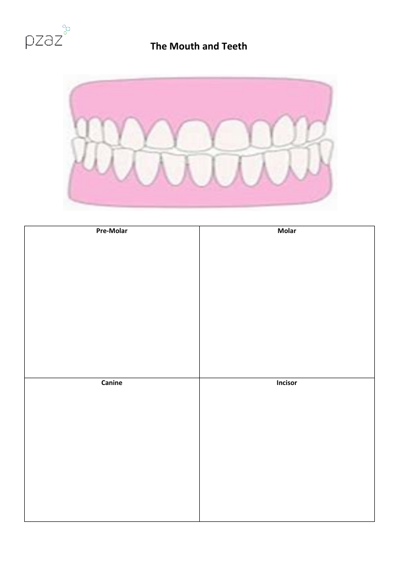 Teeth - Mouth and Tooth Sheet