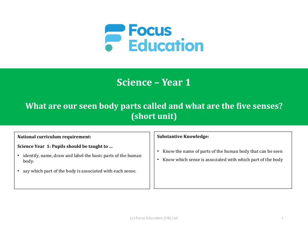 What are our seen body parts called and what are the five senses? - Introductory Presentation