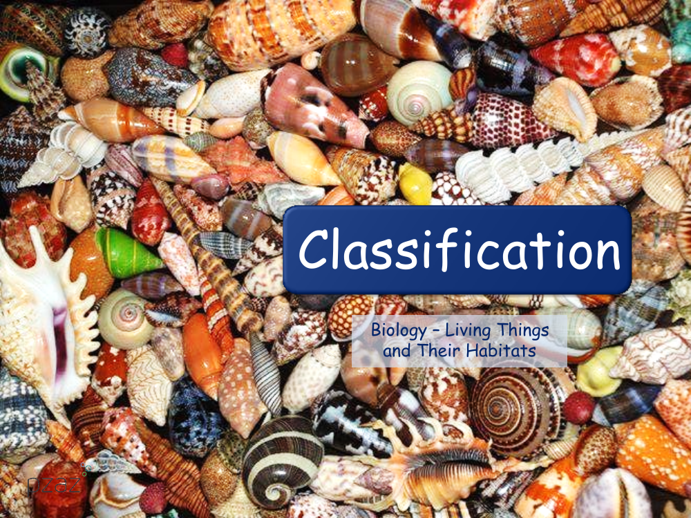 Classification Printable