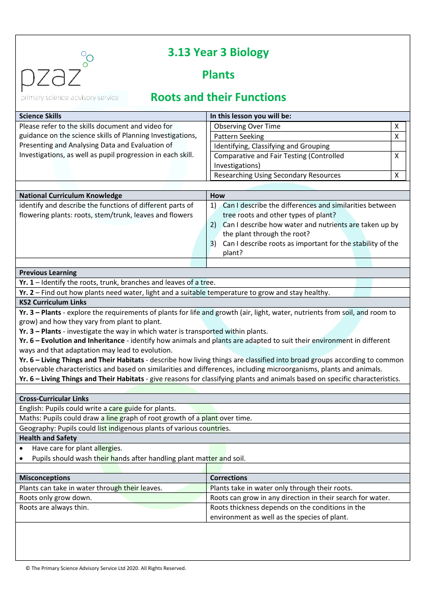 Roots - Lesson Plan