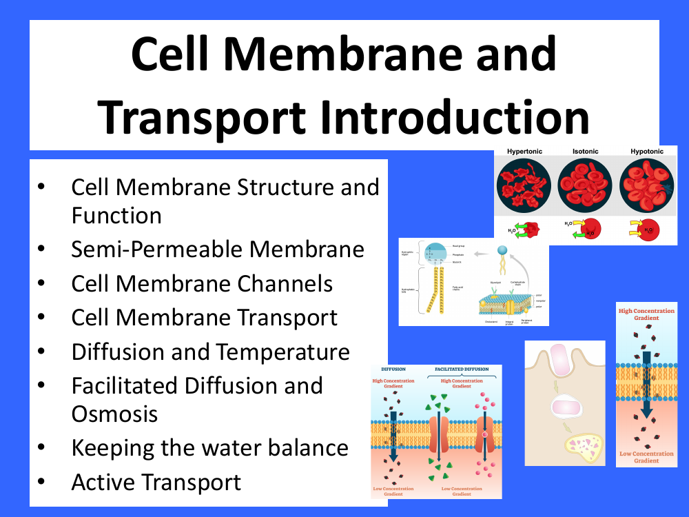 Cell Membrane and Transport Introduction - Teaching Presentation