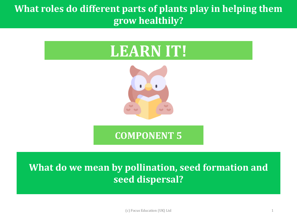 What do we mean by pollination, seed formation and seed dispersal? - presentation