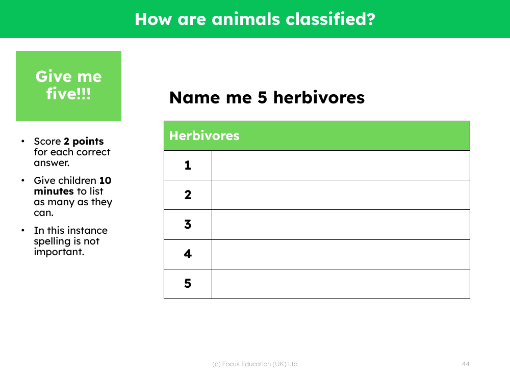 Give me 5 - Herbivores