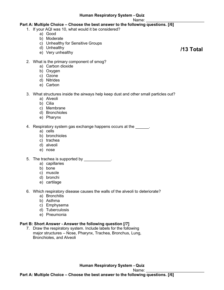 Human Respiratory - Quiz