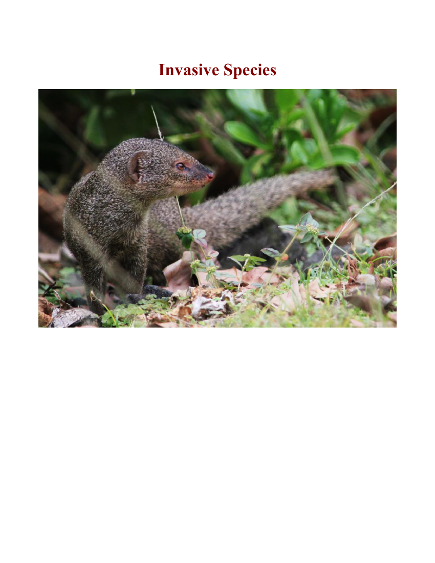 Invasive Species - Reading with Comprehension Questions 2