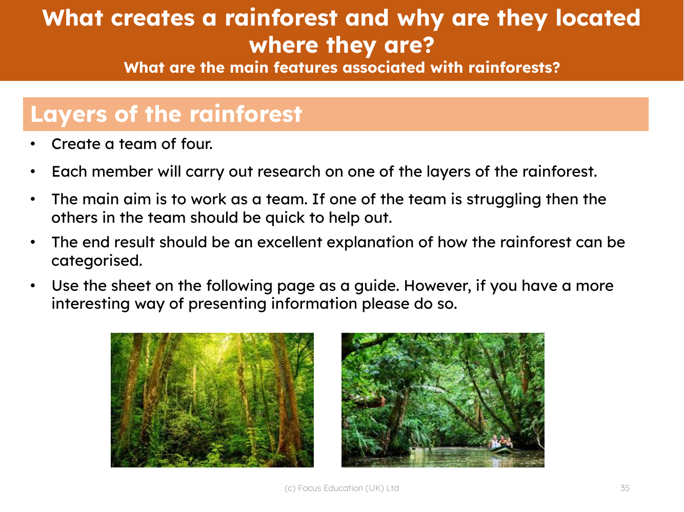 Layers of the rainforest - Research task
