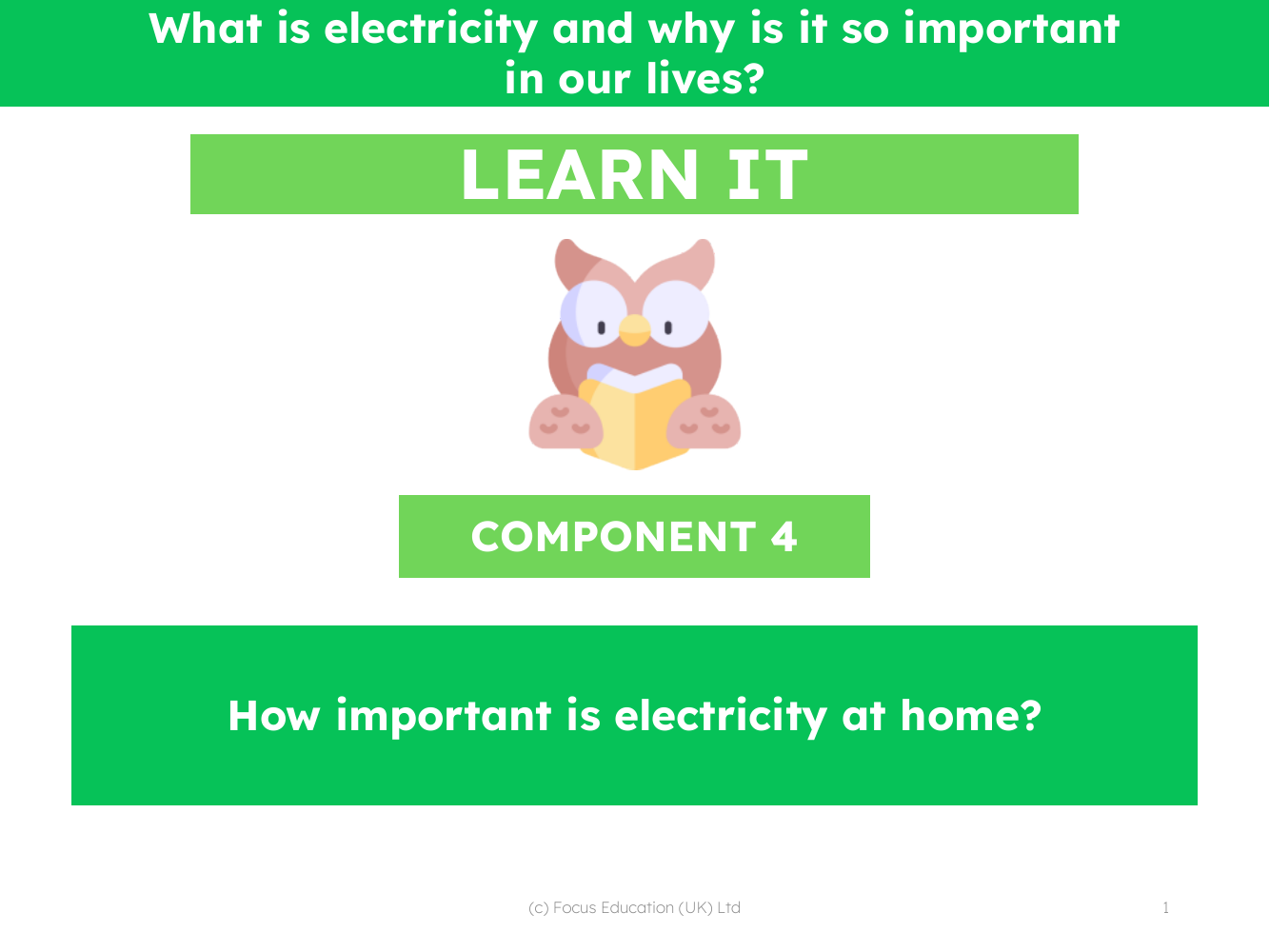 How important is electricity at home? - Presentation