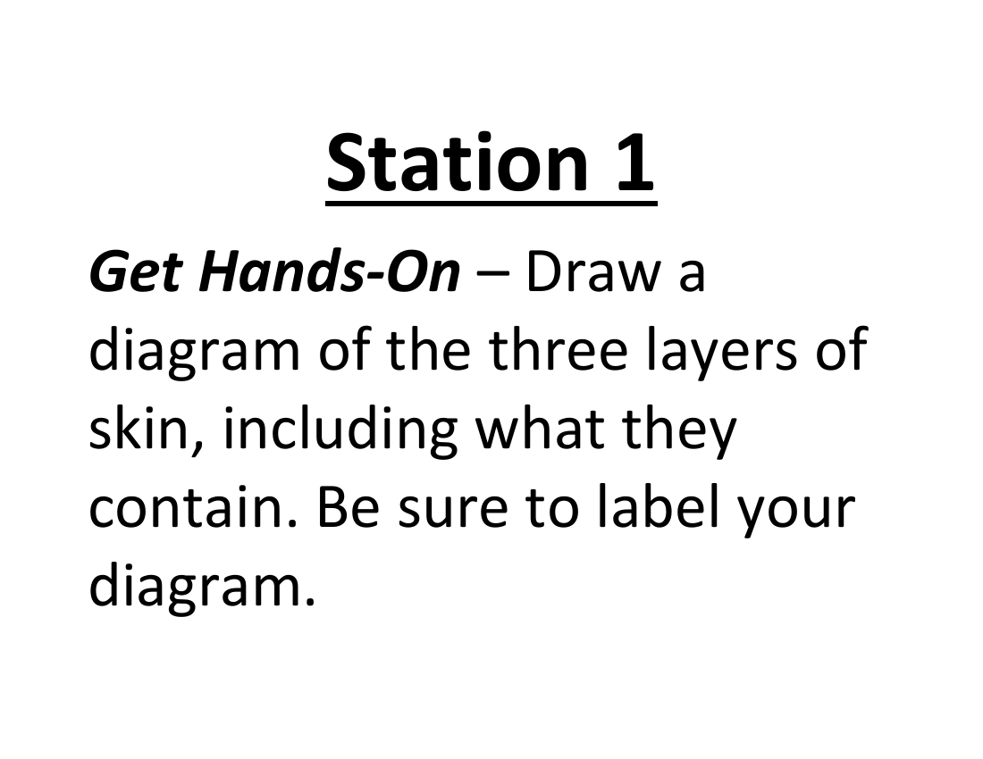 Integumentary System - Lab Station Cards