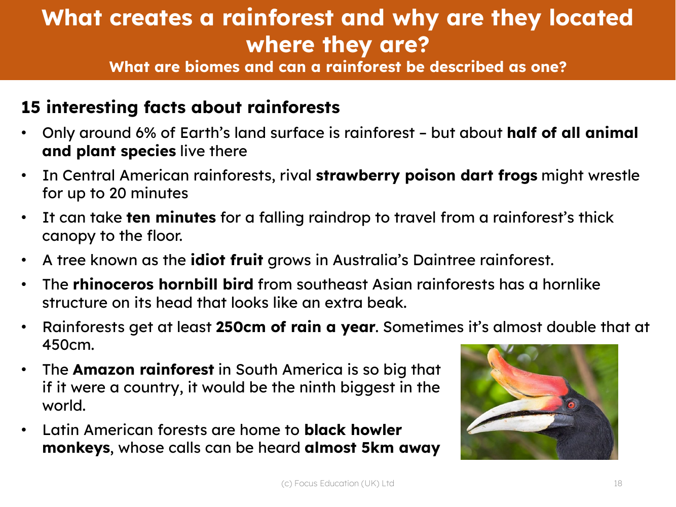 15 interesting facts about rainforests | 4th Grade Geography