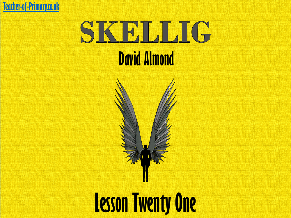 Skellig Lesson 21: Names and Endings - PowerPoint