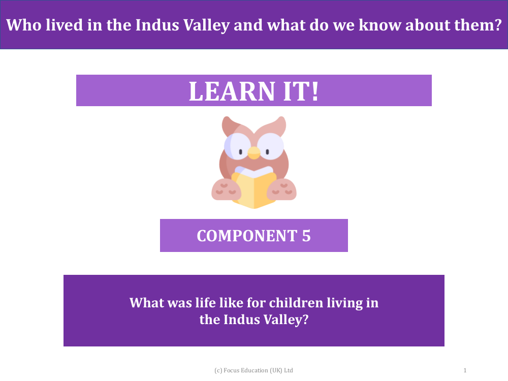 What was life like for children living in the Indus Valley? - Presentation