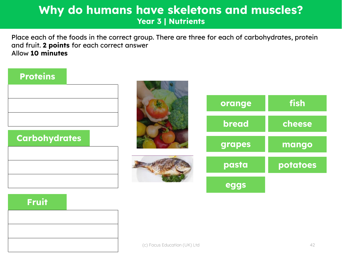 Word match - Food types