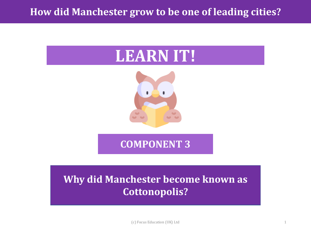 Why did Manchester become known as Cottonpolis? - Presentation